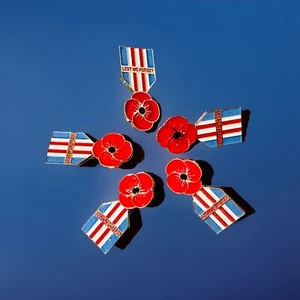 5 x UK GB Red Poppies Pin Enamel Badge BROOCH Veteran Soldier Lest We Forget - Picture 1 of 5