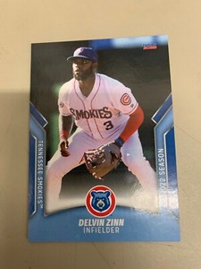 Delvin Zinn 2022 Tennessee Smokies Team Card