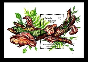 BARBUDA - BF - 1992 - Funghi - Hirneola auricula-judae - (A) - Imagen 1 de 1