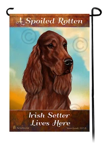 A Spoiled Rotten Irish Setter Lives Here - Picture 1 of 1