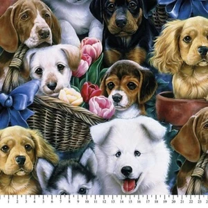 Art Licensing Cotton 18" X 21" Valentine's Puppies Fat Quarter Fabric, 1 Each - Picture 1 of 1