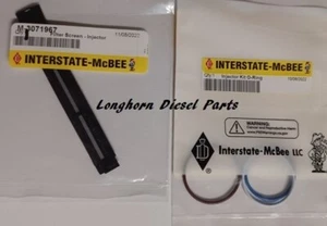 Cummins N14 Injector O-Ring Set & Injector Screen for 1 injector McBee Pai KMP - Bild 1 von 1