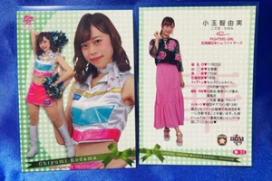 Chiyumi Kodama 2018 BBM Baseball Cheerleader Card Fighters Girl-Very Good JPN - Picture 1 of 1