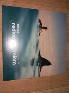 DUA LIPA RADICAL OPTIMISM RECYCLED RED VINYL LP BRAND NEW SEALED - Picture 1 of 2