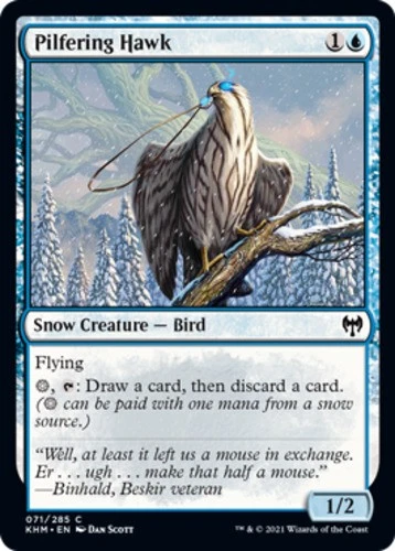 x1 Pilfering Hawk - Kaldheim - NM - MTG - Image 1 of 1