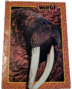 1993 National Geographic World Trading Card Walrus (H6 - Picture 1 of 2