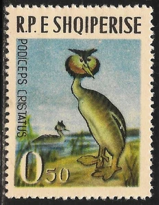 Albania #672 (A154) en muy buen estado como nuevo - 1963 50q pájaro zumbido crestado - Imagen 1 de 1