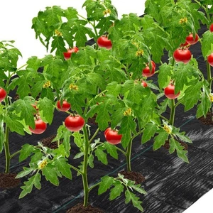 Landscape Fabric Weed Barrier 4 ft. x 50 ft. 3.0 oz. Ground Cover Garden Mats 6 - Picture 1 of 6