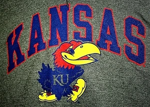 University Kansas Jayhawks Football Basketball Team Hoodie Champion Neu Gr. XL - Bild 1 von 4