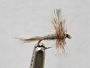 1 DZN (12) Adams Dry Fly - Picture 1 of 1