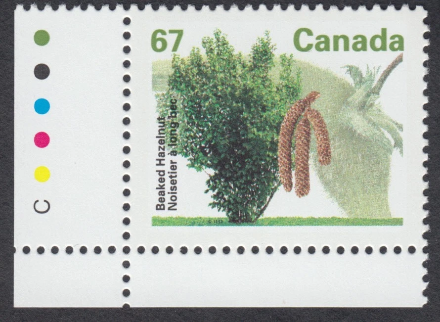 Canada - #1368 Beaked Hazelnut Tree - MNH - Image 1 of 1