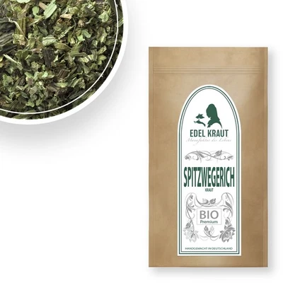 250g BIO Spitzwegerich Tee | Spitzwegerichkraut | EDEL KRAUT - Bild 1 von 4
