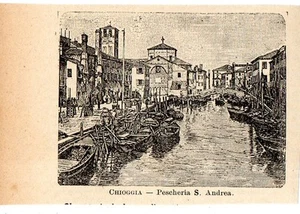 Stampa antica CHIOGGIA pescheria in miniatura Venezia 1905 Old print - Picture 1 of 1