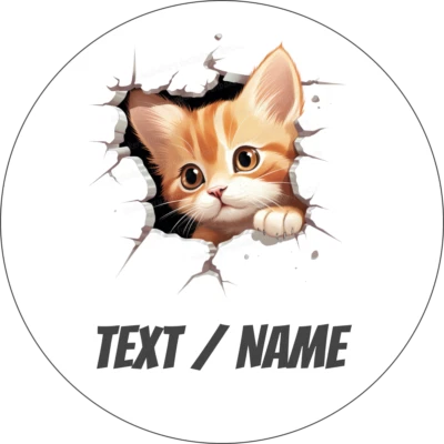 Katze Tortenaufleger Party Deko personalisiert Name essbar Hauskatze Geburtstag - Bild 1 von 4