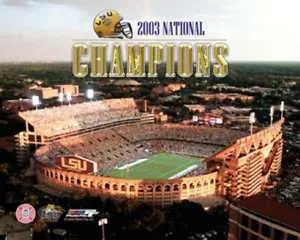 Tiger Stadium LSU Tigers 8 X 10 Foto AAGH005 - Imagen 1 de 1