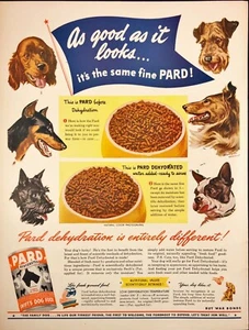1944 Pard Dehydrated Dog Food Buy War Bonds WWII Vintage Print Ad - Picture 1 of 6