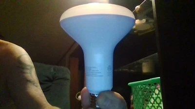 SYLVANIA LED 2 Pack 65 Watt - 10,000 Hours, Flood Lights 650 Lumens Cool White - Image 1 of 4