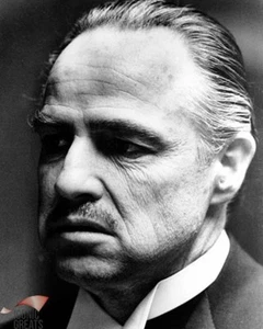 Marlon Brando [2000852] 8x10 photo (other sizes available)