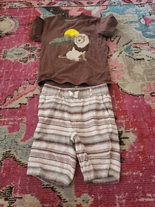 VGUC Gymboree boys Lion African Safari brown tee shirt & shorts outfit set 6 - Picture 1 of 2