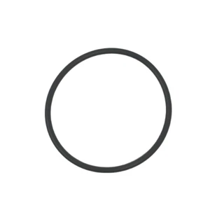 Intex Replacement Titanium Electrode Gasket O-Ring for ECO15230 Filter Pump - Picture 1 of 2