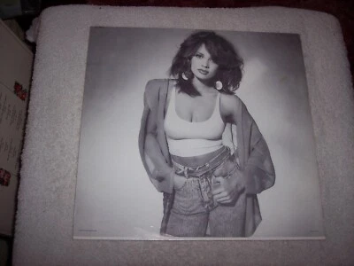 VANESSA WILLIAMS THE RIGHT STUFF INNER SLEEVE ONLY  *NO SPLITS*   #85 Foto 1 de 3