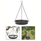 Bird Bath and Feeder Combo Perfect Size for Birds to Drink and Feed Comfortably
