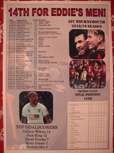 AFC Bournemouth Premier League season 2018/19 - souvenir print - Picture 1 of 1