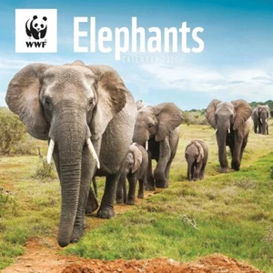 Otter House WWF, Elephants Calendar 2026 - Picture 1 of 6