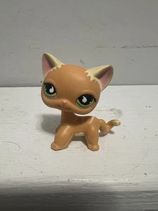 LPS #525 790 LITTLEST PETSHOP ORIGINAL AUTHENTIC CHAT EUROPEEN EUROPEAN CAT - Picture 1 of 5