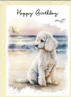 Poodle White Dog Birthday Card (4"x 6") - blank inside - by Starprint