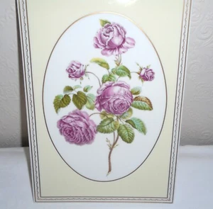 Placa de porcelana Royal Worcester diseño "Cabbage Province Rose" - Imagen 1 de 5
