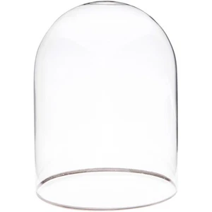 Plymor 4,5" x 6" Glas Display Kuppel Cloche mit Silberrand (ohne Sockel) - Bild 1 von 1