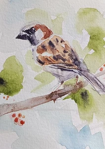 original watercolor painting ACEO sparrow bird on tree wildlife rural SIBY - Picture 1 of 3