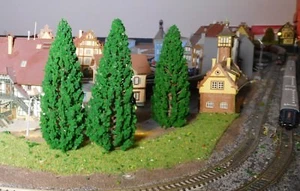 20 Dark Green Fir Trees, Conifers, 150 mm High - Picture 1 of 12
