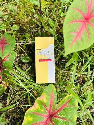 BABYFACE RDL Baby Face