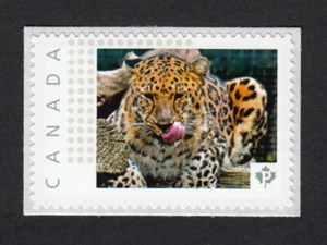 cp. AMUR LEOPARD = Picture Postage MNH stamp Canada 2015 [p15/10sn8] - Picture 1 of 2