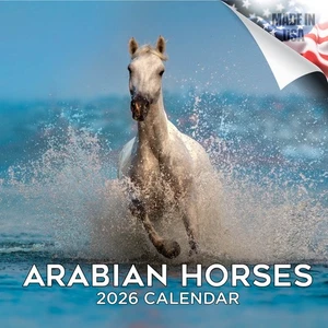 Calendario Caballos Árabes 2026 TAMAÑO COMPLETO 12x24 Hecho en EE. UU. - Imagen 1 de 10