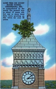 Postal Lone Tree Court House Tower Greensburg Indiana sin publicar - Imagen 1 de 2