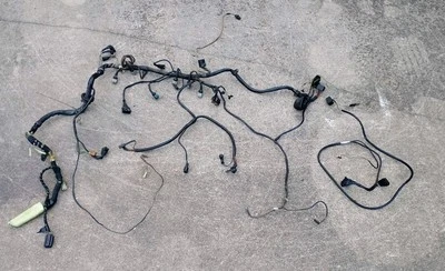 Arnés de cableado motor BMW E24 ECU 82-84 633csi Foto 1 de 4