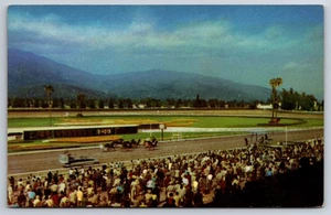Postal de Santa Anita Horse Race Track Arcadia California CA cromada c1950 - Imagen 1 de 2