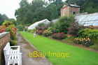 Photo 6X4 A Wet Wallington Walled Garden Cambo/Nz0285 The Colours Brough C2008