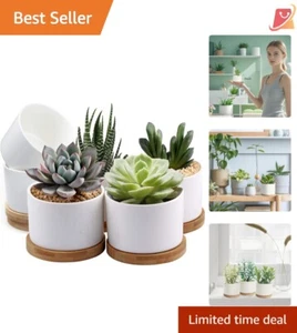 Succulent Pots Ceramic 3.1 Inch 6 Pack Drainage Indoor Planters for Home Decor - Picture 1 of 11