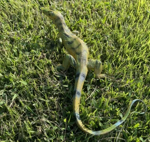 Monitor Lizard Replica - Young Green - AAA Realistic PVC - Picture 1 of 9