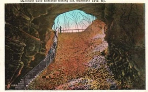 Cartolina d'epoca anni '20 scale lunghe ingresso grotta mammut guardando Kentucky - Foto 1 di 2