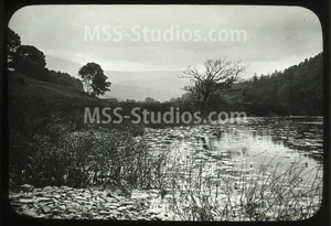 MAWDDACH VALLEY? (LLANELLTYD), DOLGELLEY 1906 - Photographic Glass Slide - Picture 1 of 2