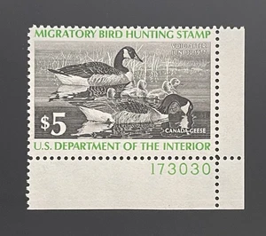 TangStamps: Bund Entenmarke 1976-1977 #RW43 postfrisch NH, Platte einzeln ss CV 10 $ - Bild 1 von 2