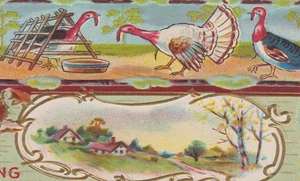 Thanksgiving Greeting Turkeys Country Scene Postcard - Picture 1 of 3