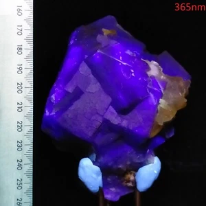 Fluorite fluorescent cubic crystal cluster long wave mineral specimen 0.8kg - Bild 1 von 10