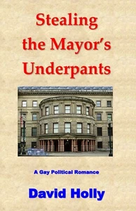 Stealing the Mayor's Underpants by David Holly. Autographed. Gay, political - Picture 1 of 1