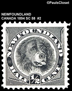 NEWFOUNDLAND 1894 SC 58 NEWFOUNDLAND DOG BLACK ½¢ MGD VF #2 - Picture 1 of 2